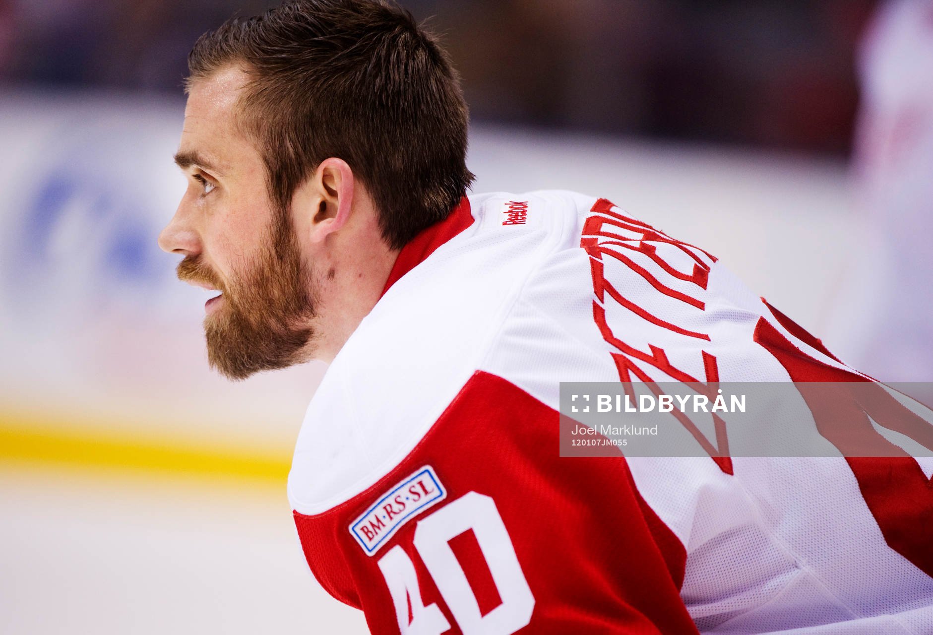 Henrik Zetterberg, Detroit