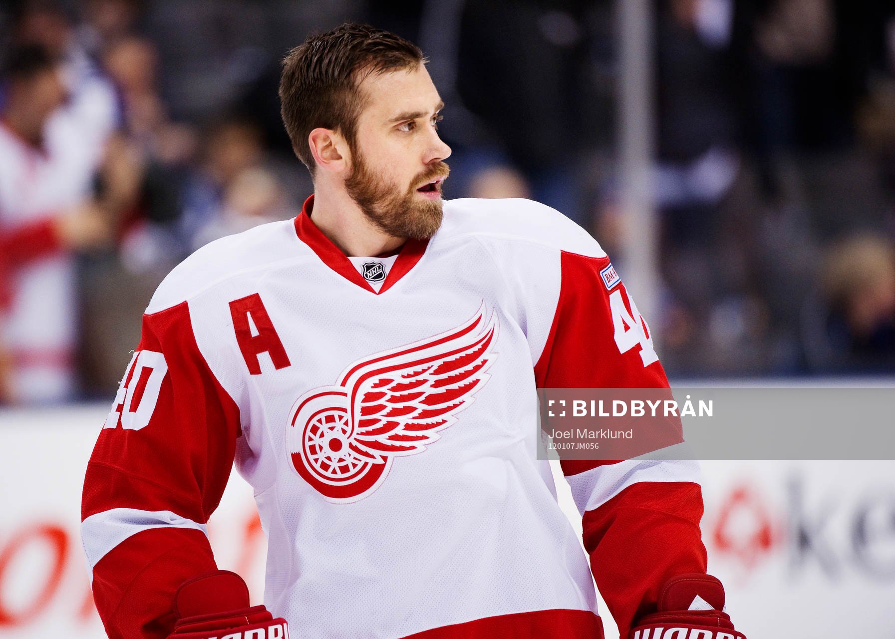 Henrik Zetterberg, Detroit