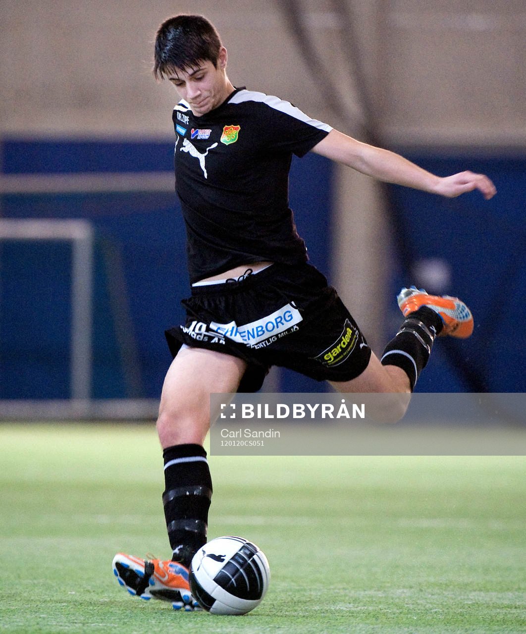 Mirza Mujcic, Gais