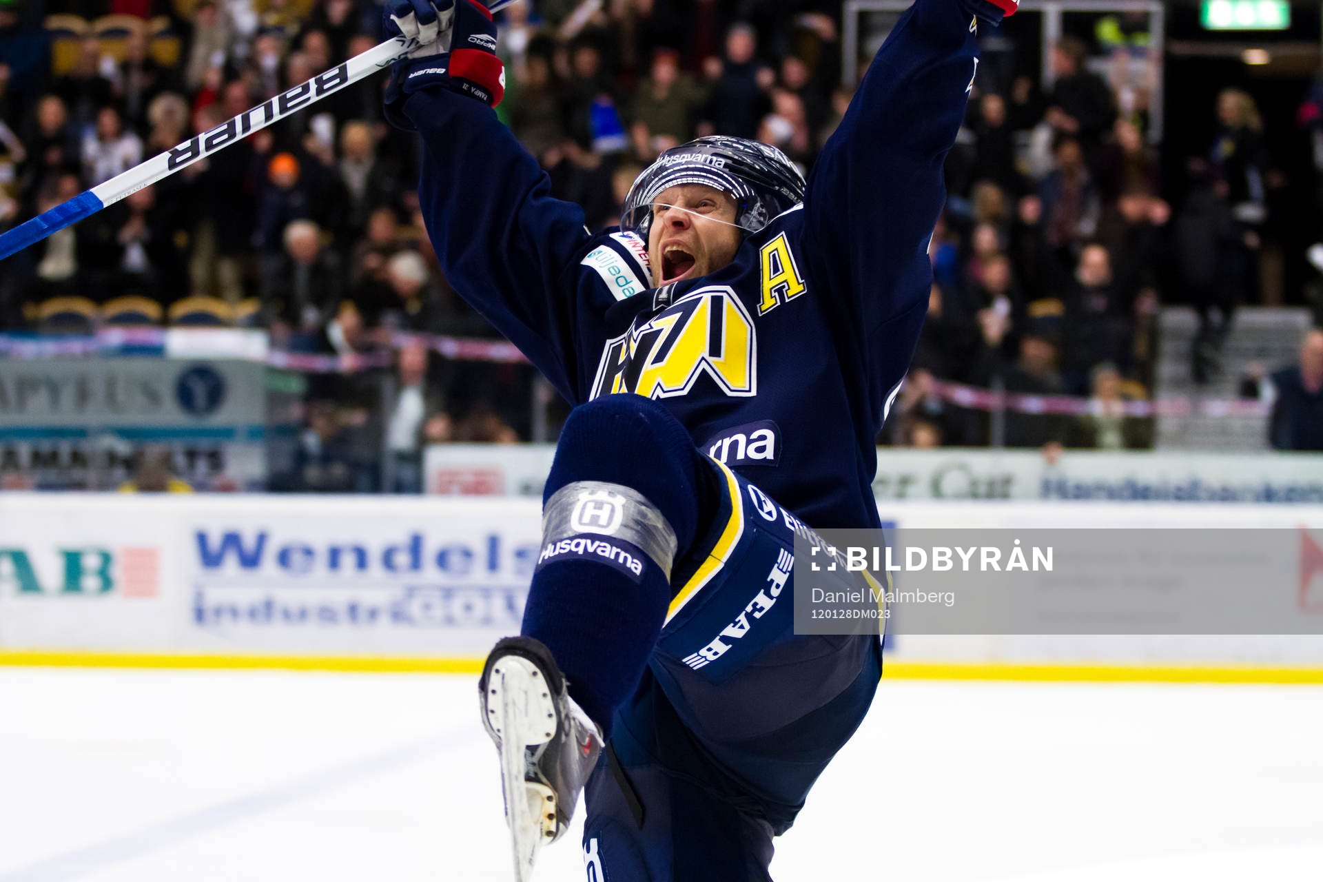 David Petrasek, HV71 jubel