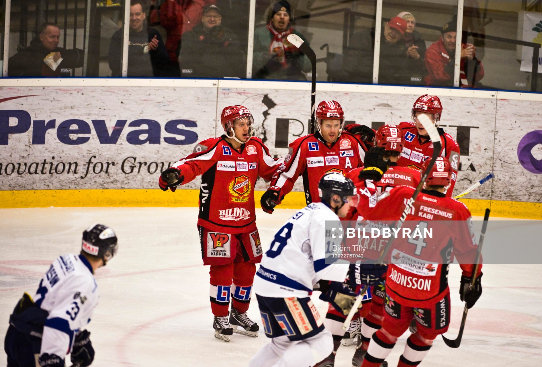 Måljubel