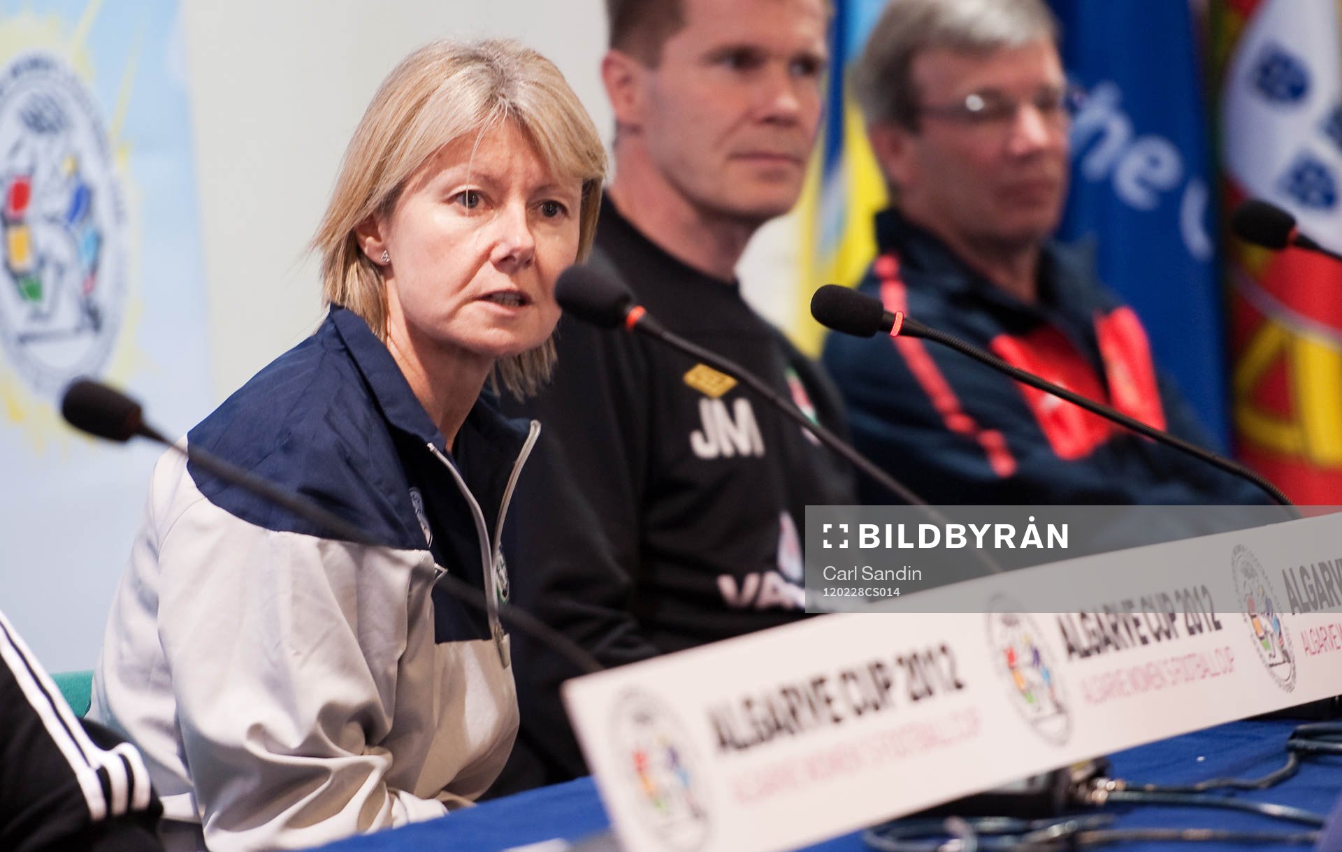 Sue Ronan, förbundskapten, Irland
