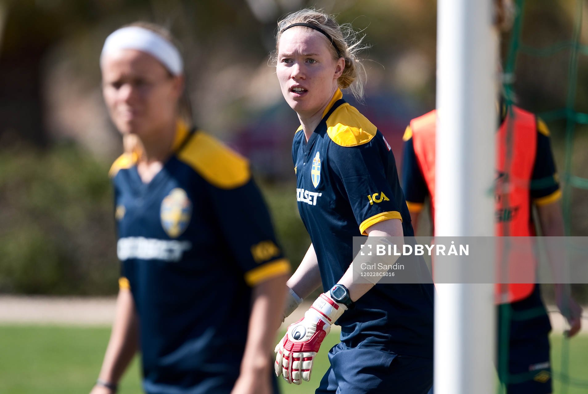 Hedvig Lindahl, måvakt