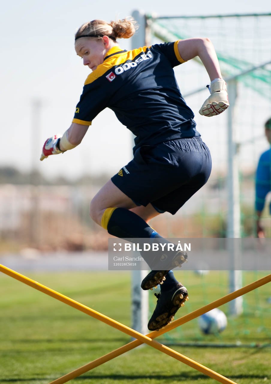 Hedvig Lindahl, målvakt
