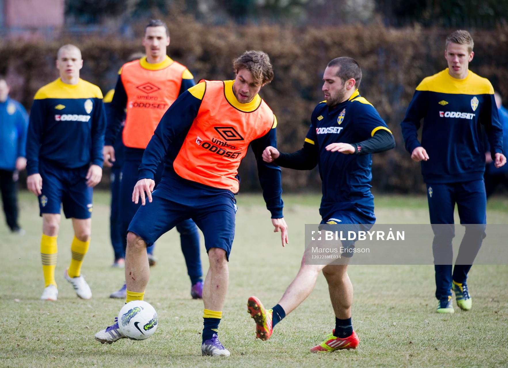 Johan Elmander och Emir Bajrami