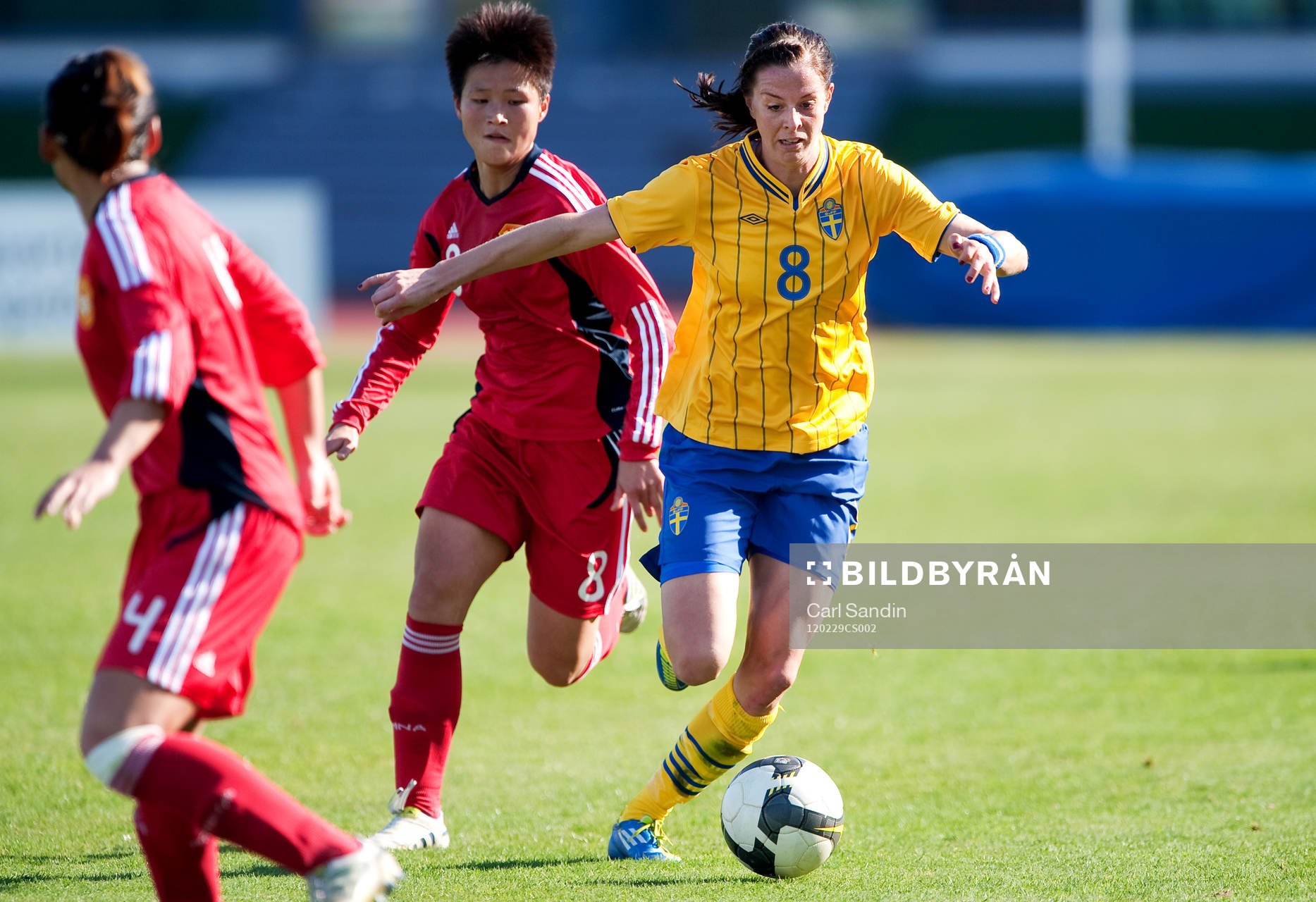 Lotta Schelin, Sverige