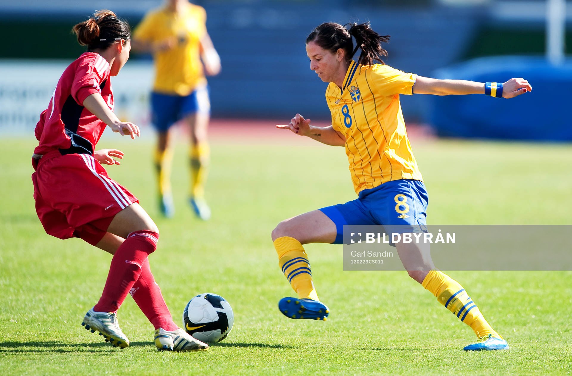 Lotta Schelin, Sverige