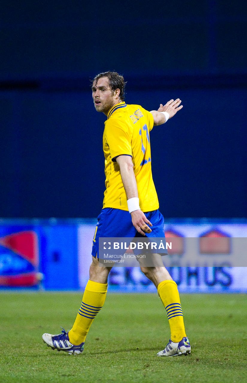 Johan Elmander, Sverige