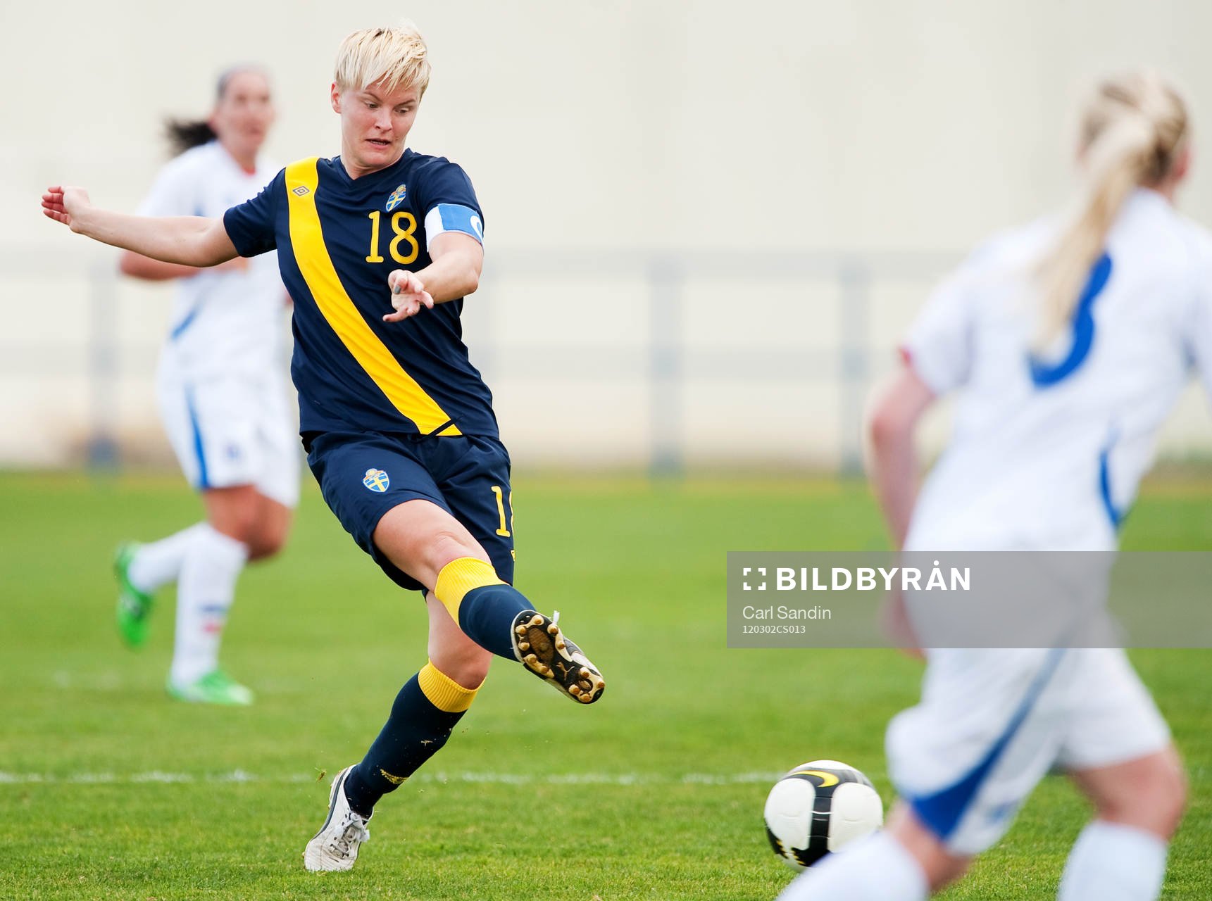 Nilla Fischer, Sverige