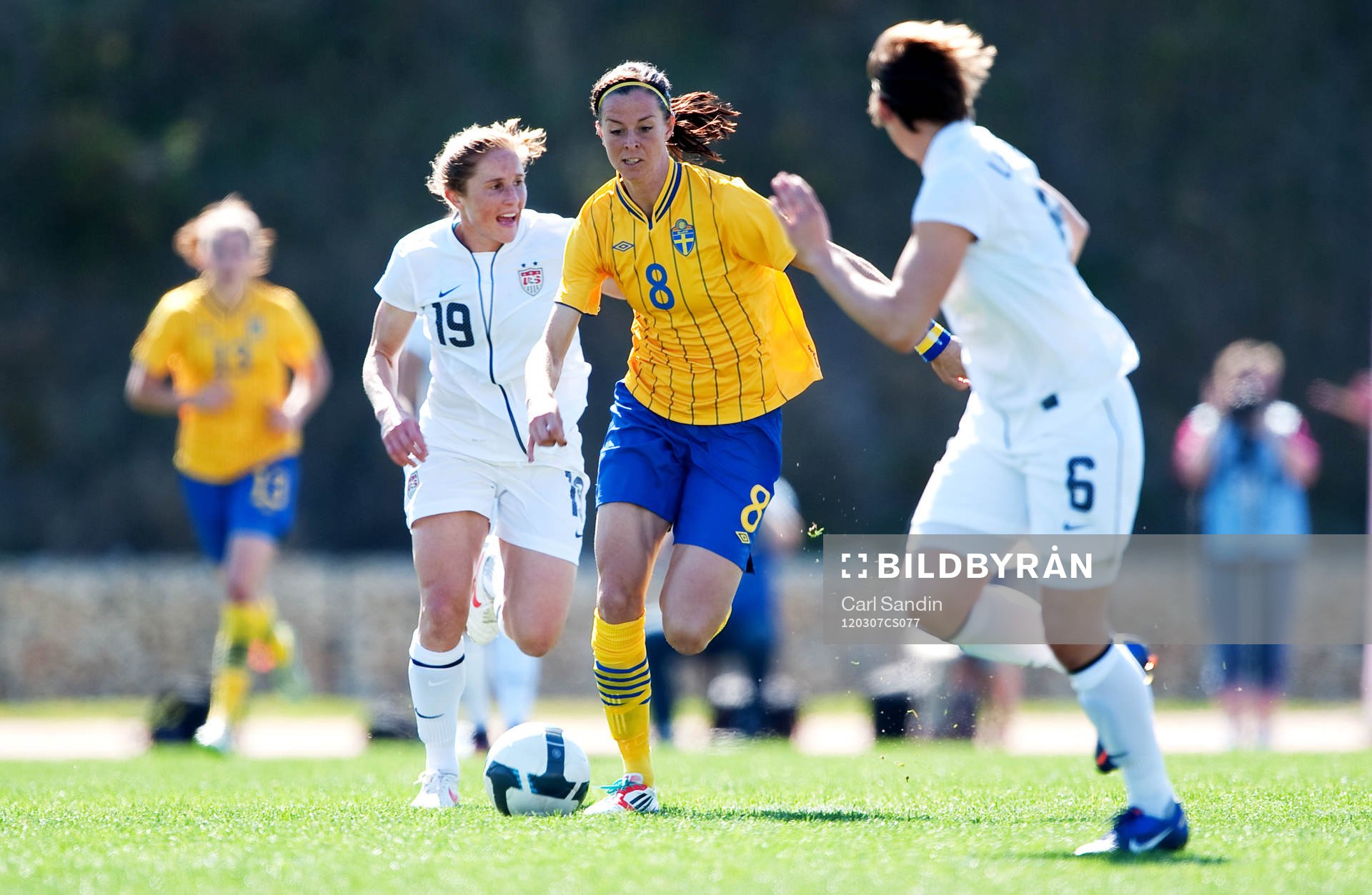 Lotta Schelin, Sverige