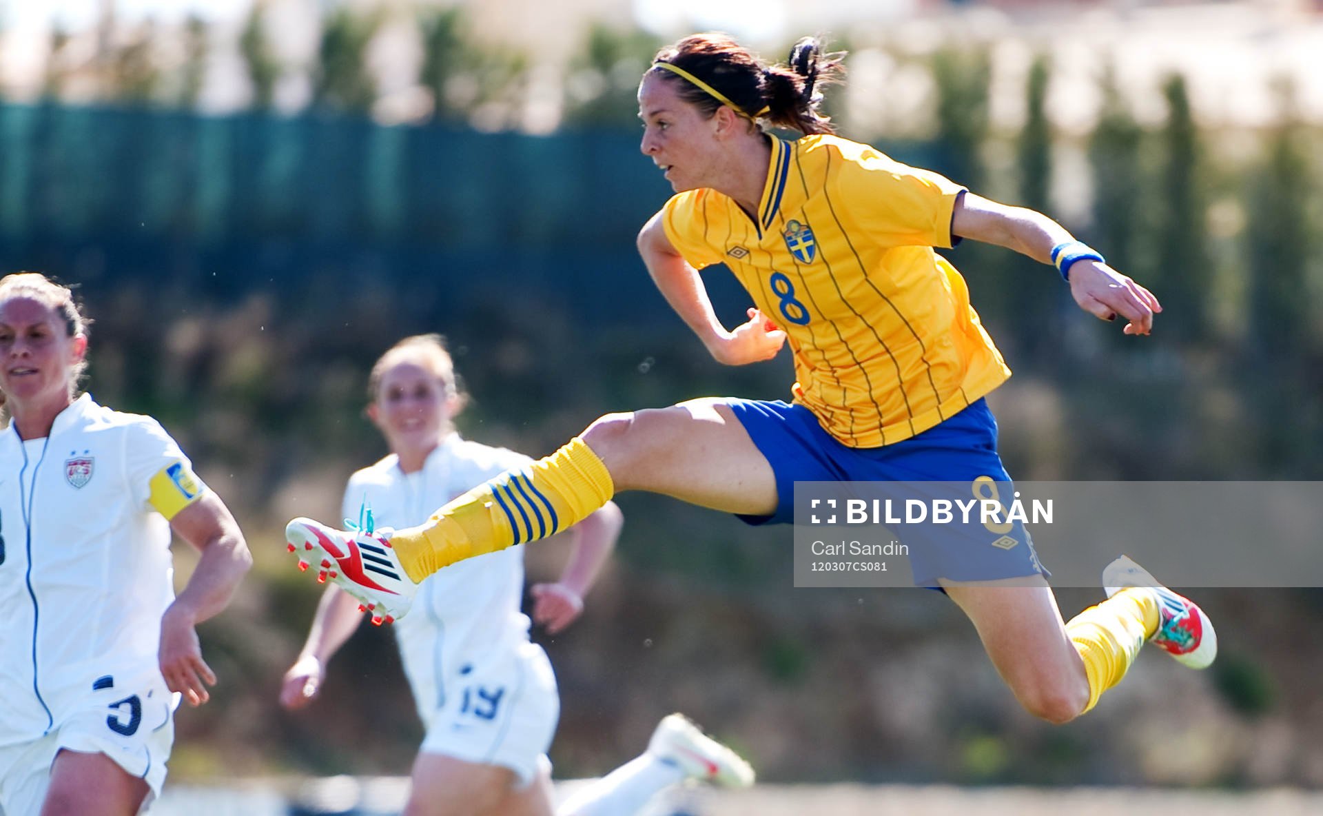 Lotta Schelin, Sverige
