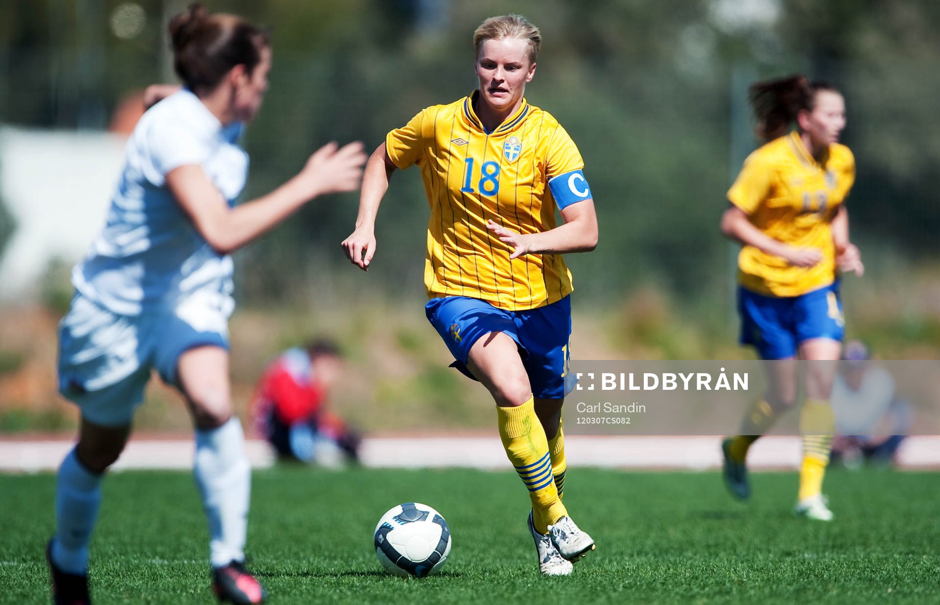 Nilla Fischer, Sverige