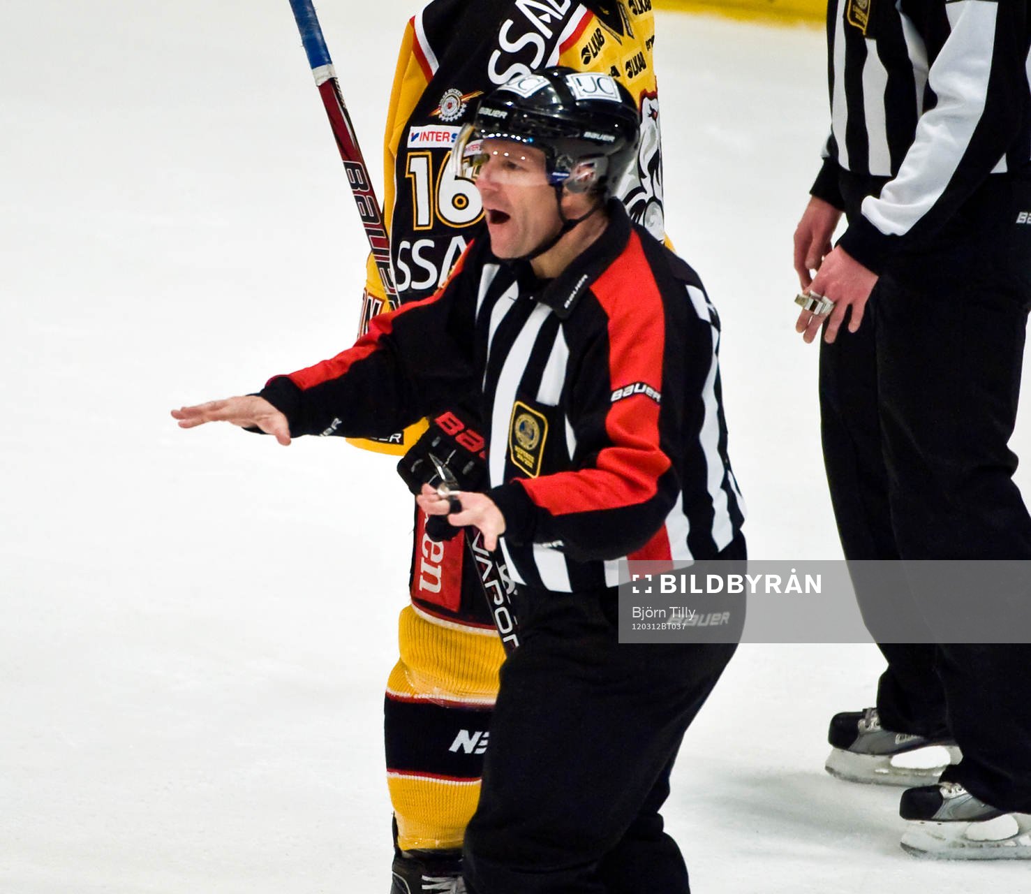 Wolmer Edqvist, domare