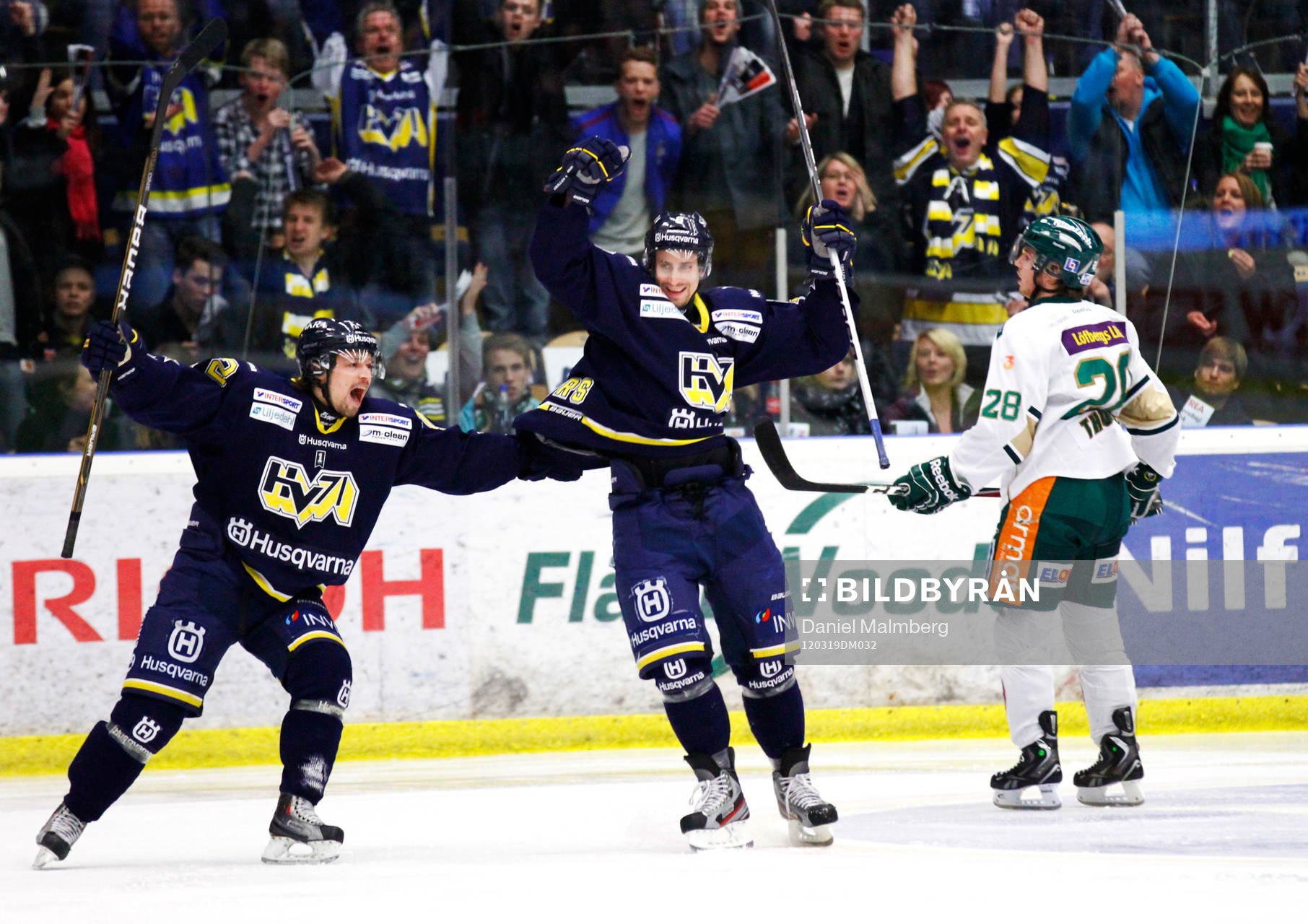 HV71 jubel