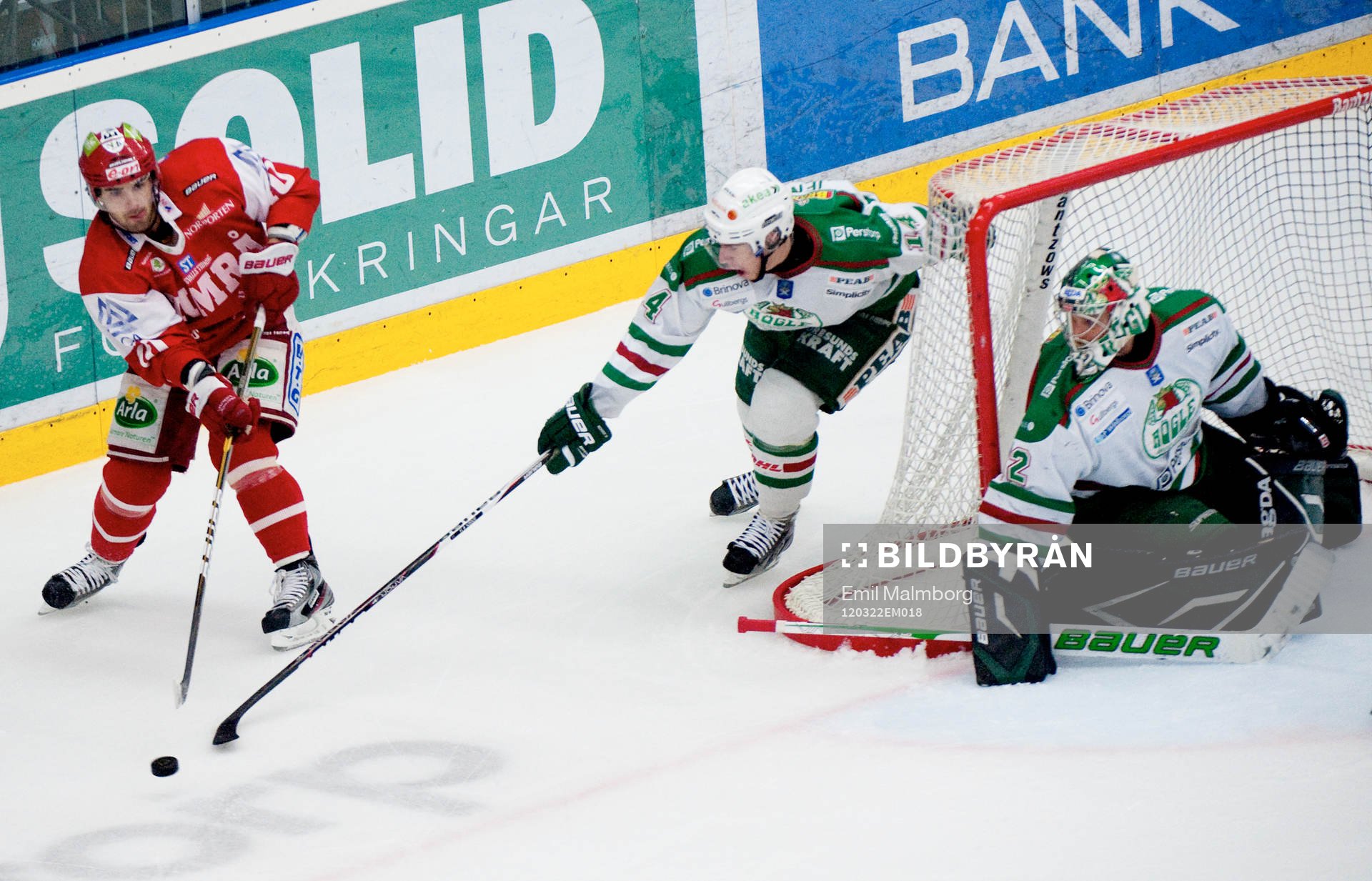 Damien Fleury, Timrå