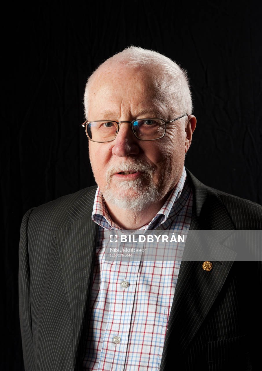 Roger Gottfridsson, jounalist