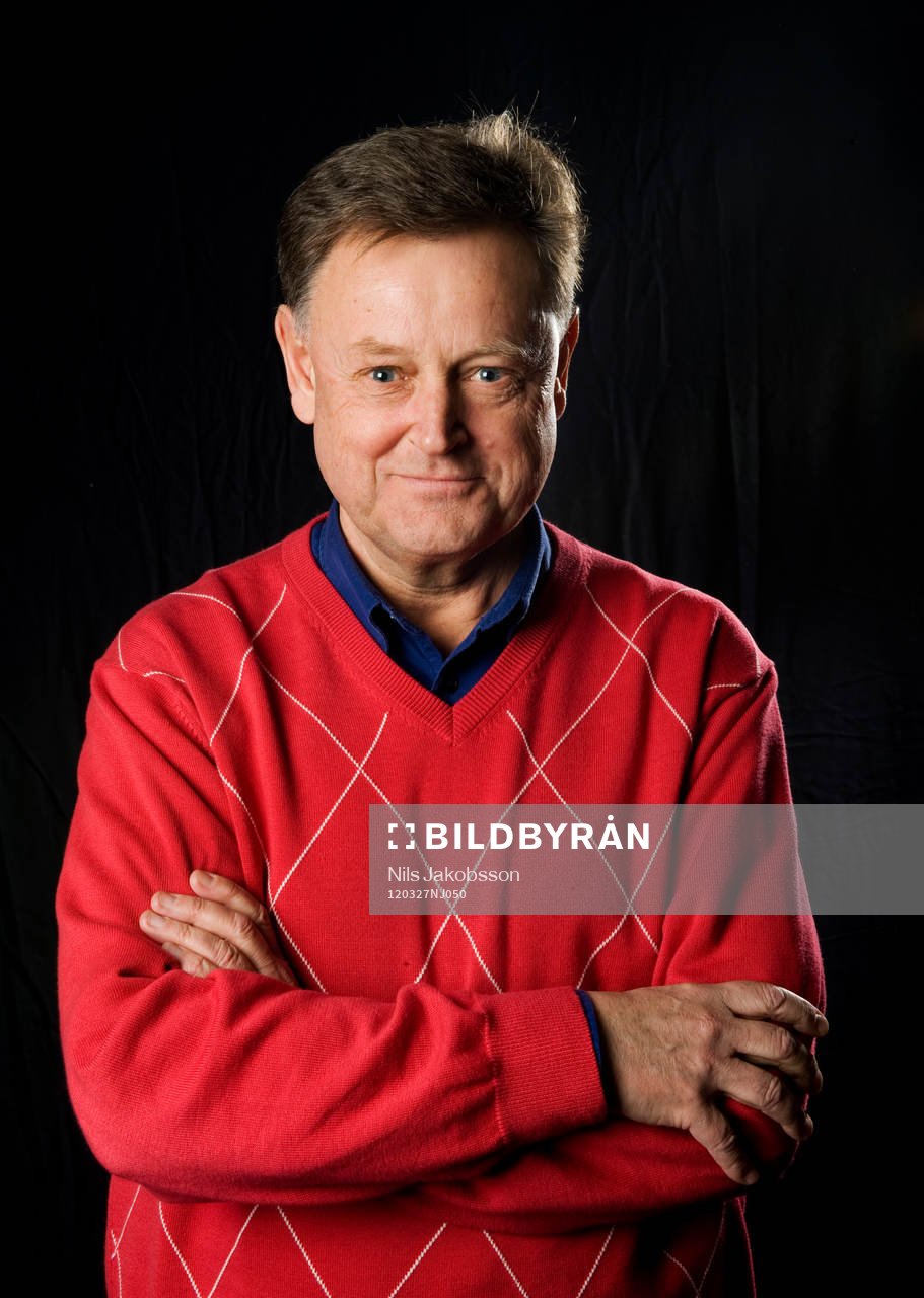 Stefan Thylin, journalist