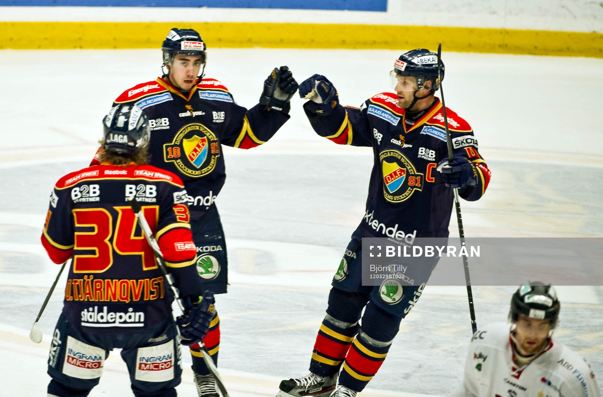 Mika Zibanejad och Marcus Nilson, Djurgården