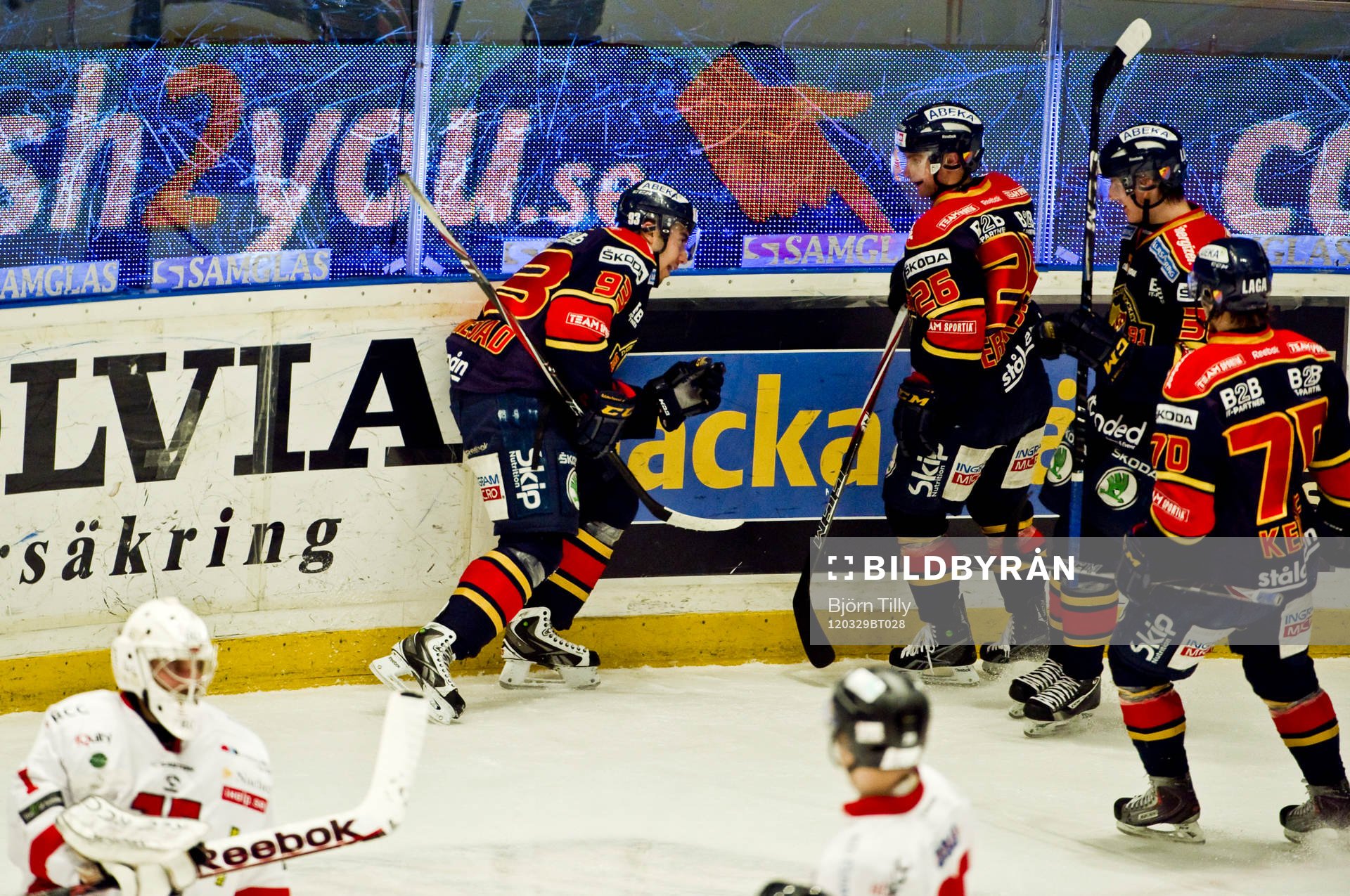 Mika Zibanejad, Djurgården