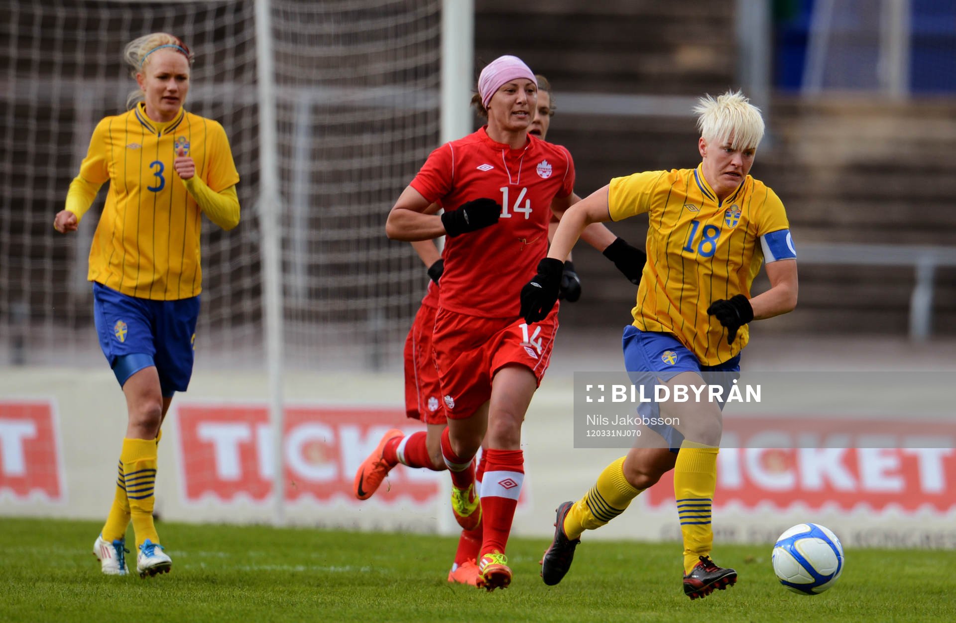 Nilla Fischer, Sverige
