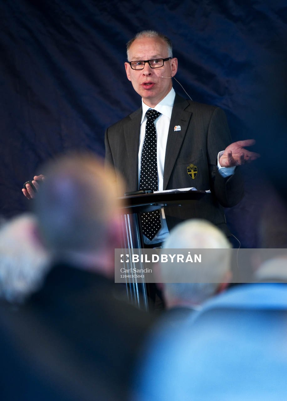 Göran Havik, Turneringsledare Dam-Em, EM