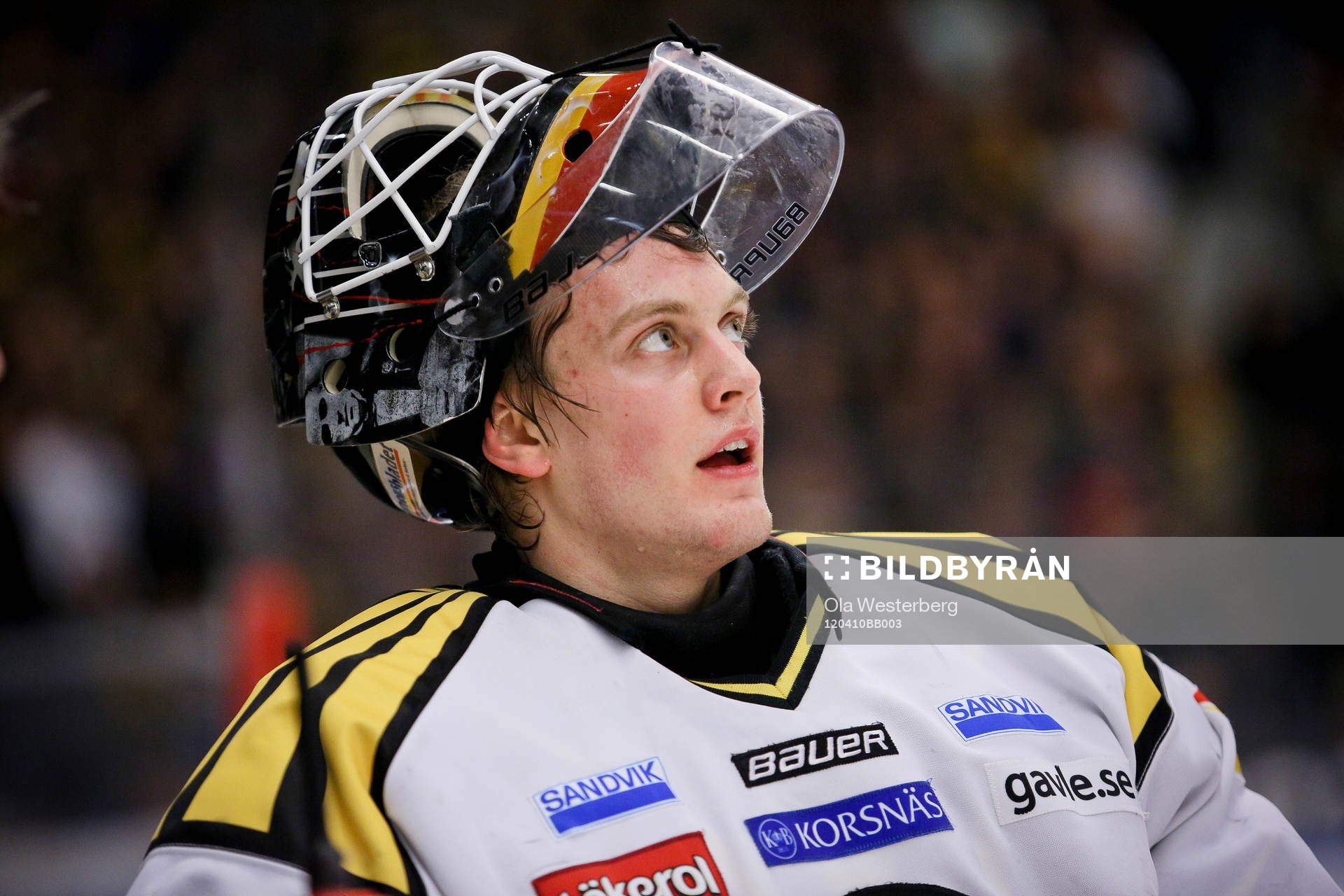 Niklas Svedberg, målvakt Brynäs