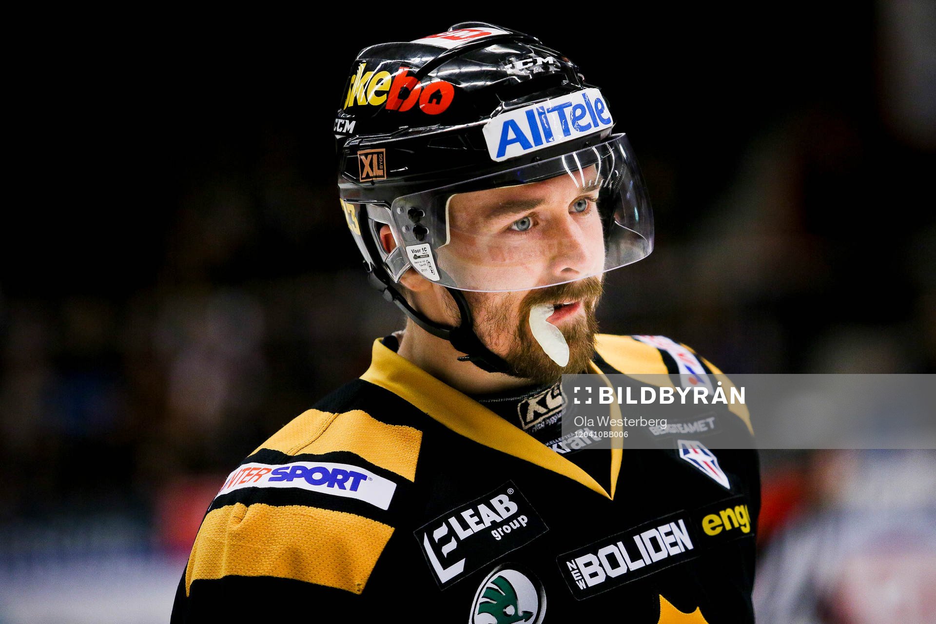 Tomas Skogs, Skellefteå