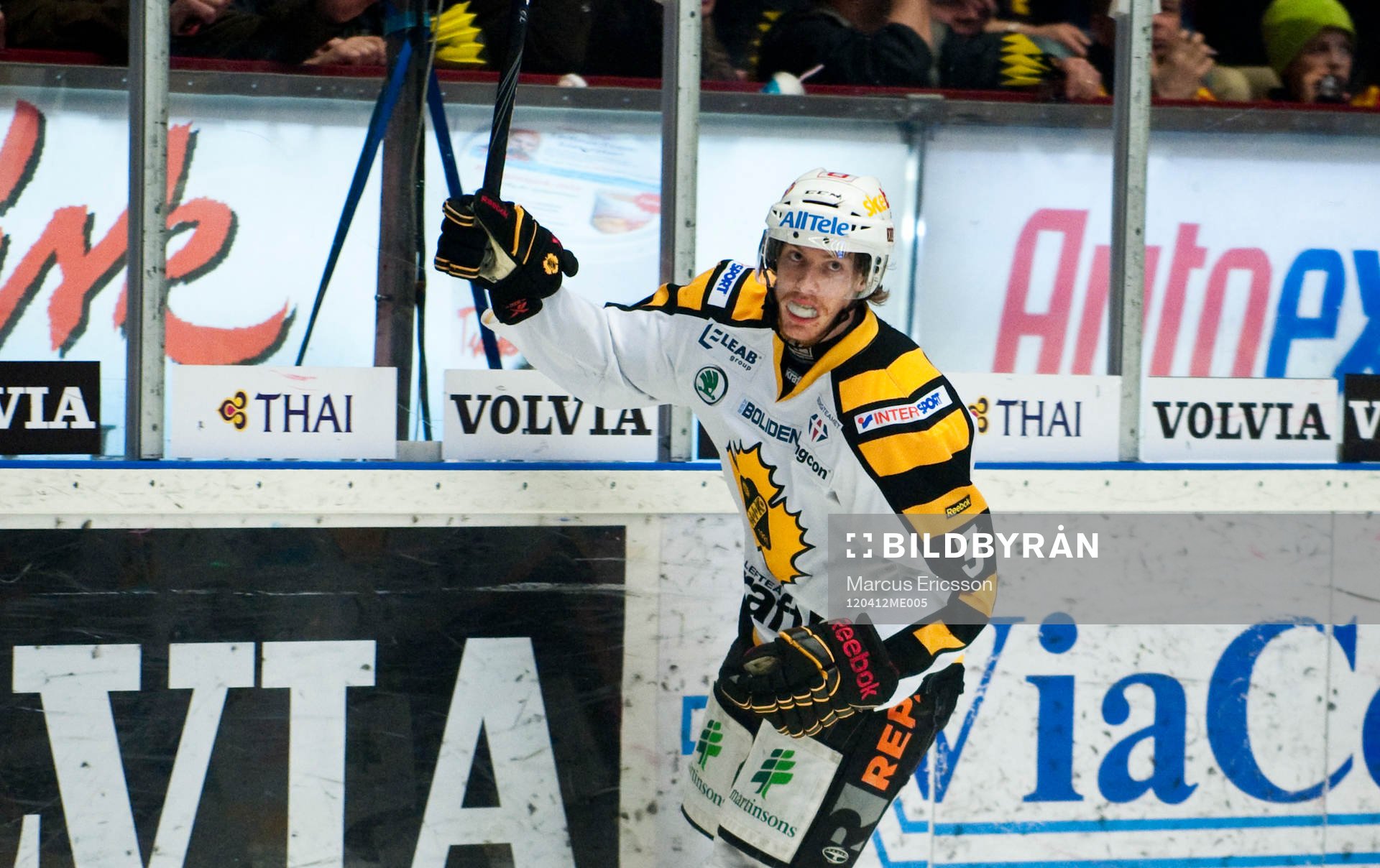 Niclas Burström, Skellefteå jublar