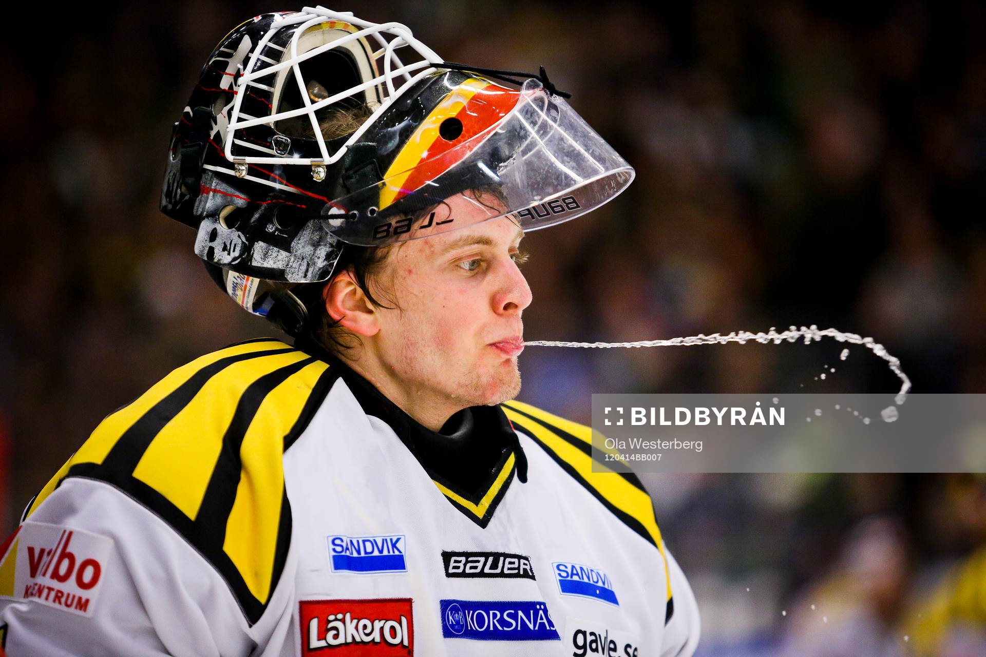 Niklas Svedberg, målvakt, Brynäs