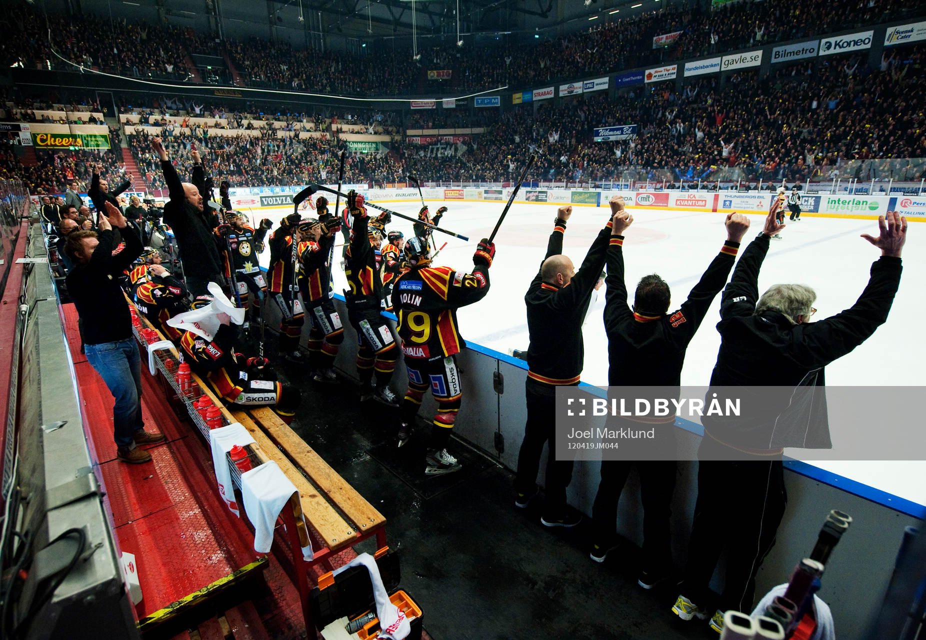 Brynäs-spelarna och Tommy Jonsson, tränare, jublar