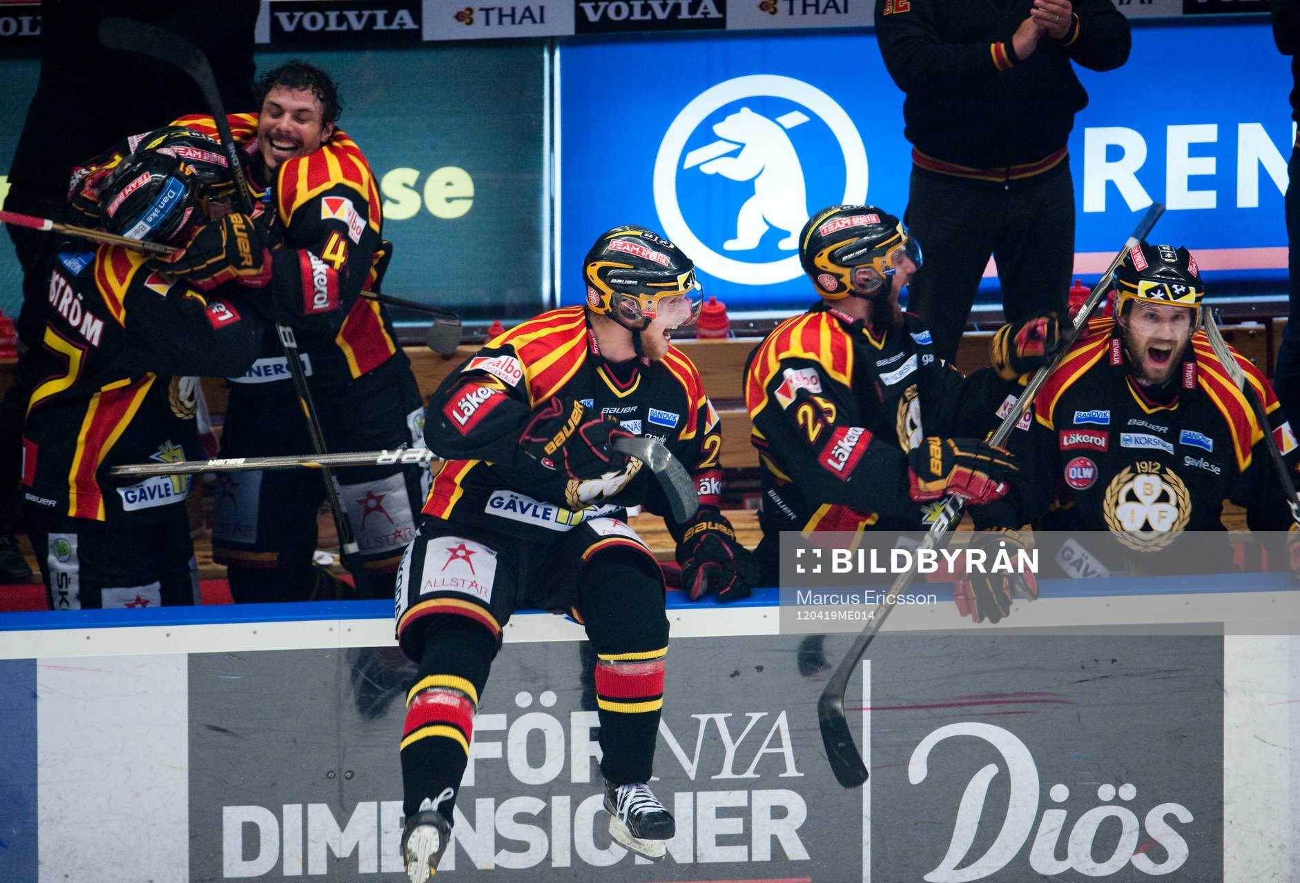 Brynäs, Svenska Mästare 2012, SM-guld, guld, jubel,