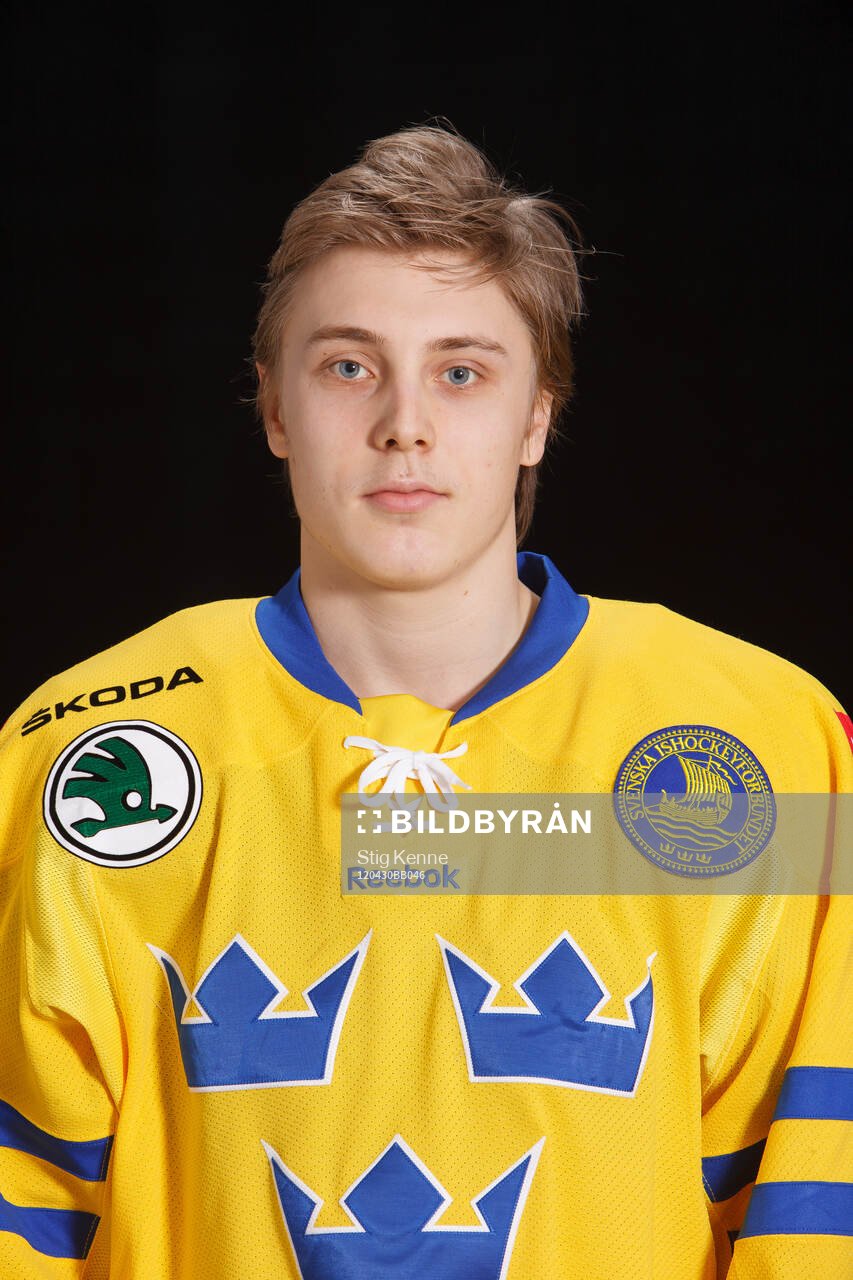 Jesper Fasth of Sweden poses for a portrait
