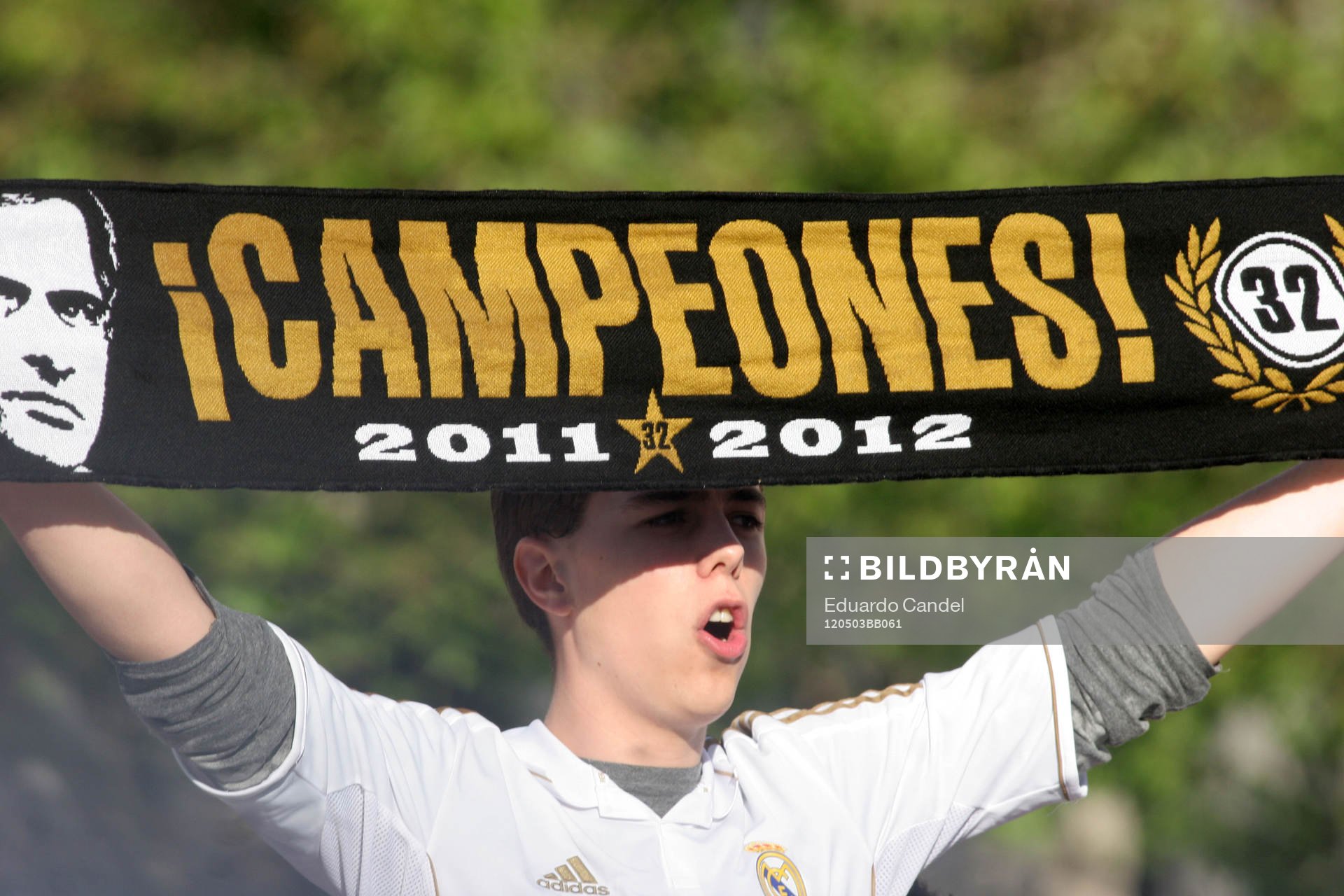 Fan, supporter