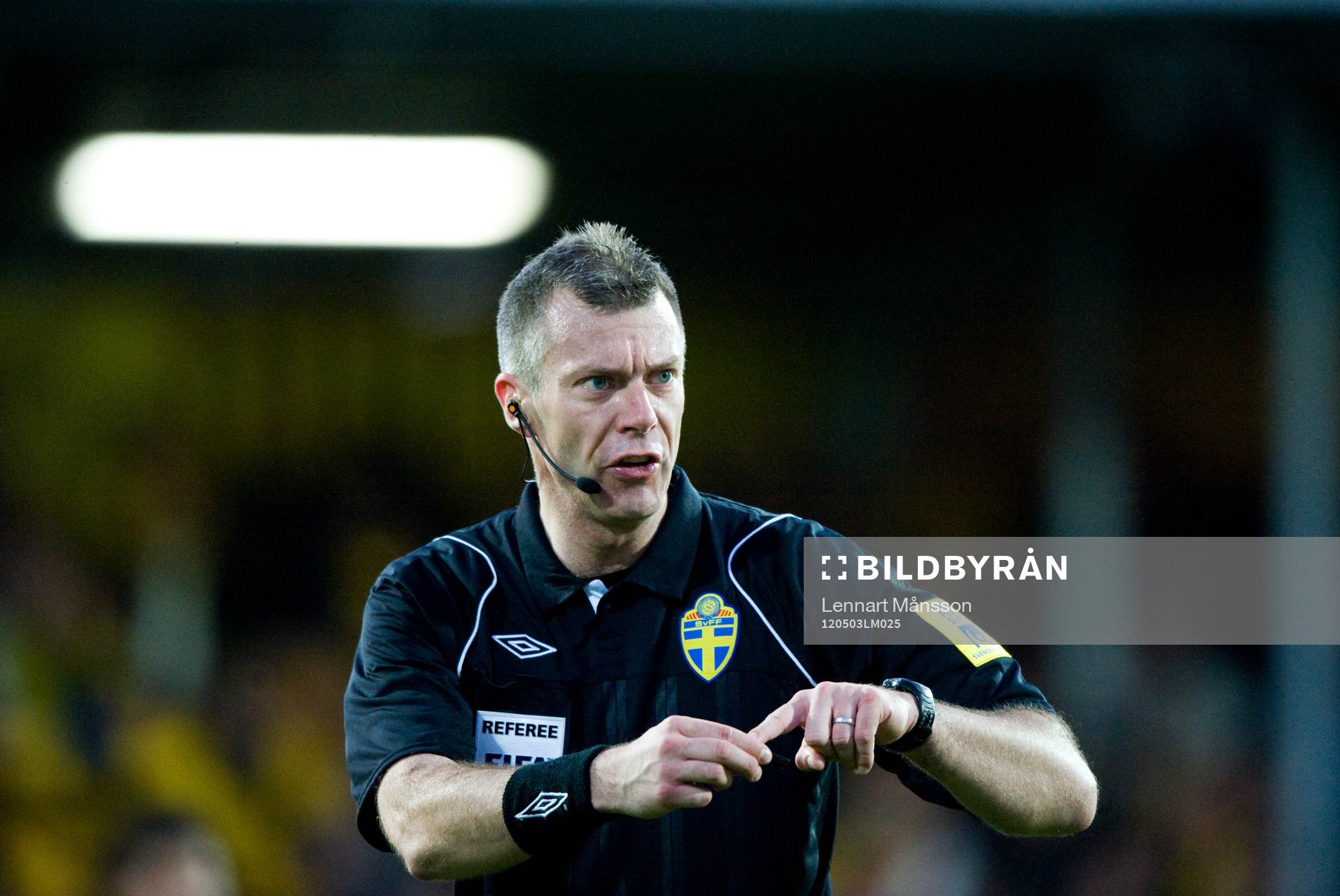 Daniel Stålhammar, domare