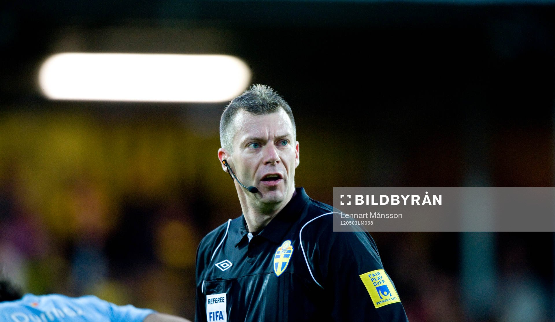 Daniel Stålhammar, domare