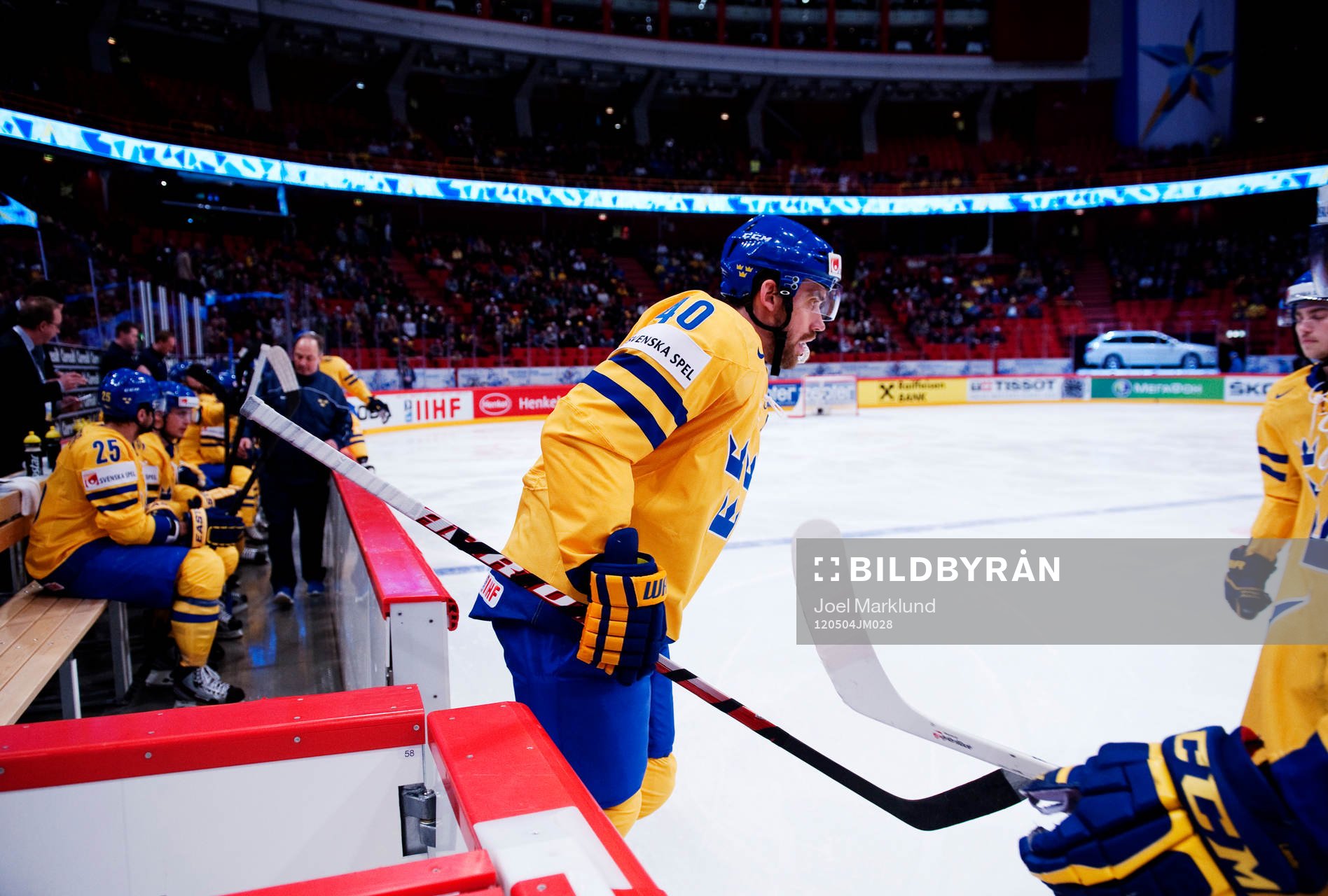 Henrik Zetterberg, Sverige