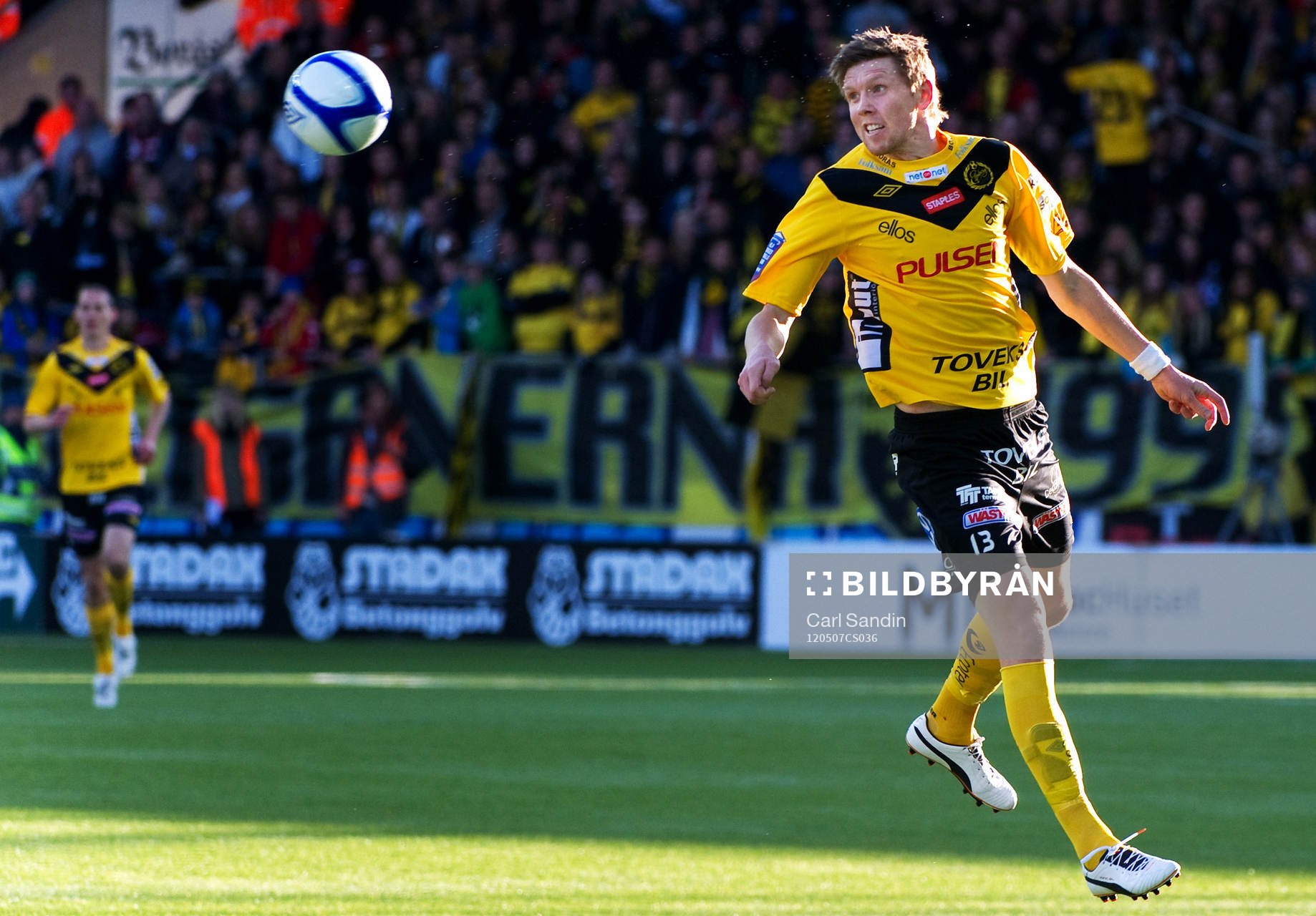 David Elm