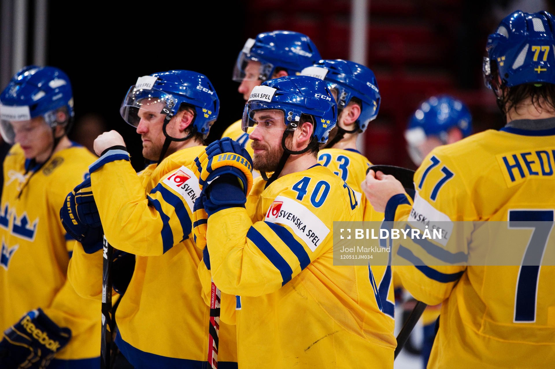 Henrik Zetterberg, Sverige, depp