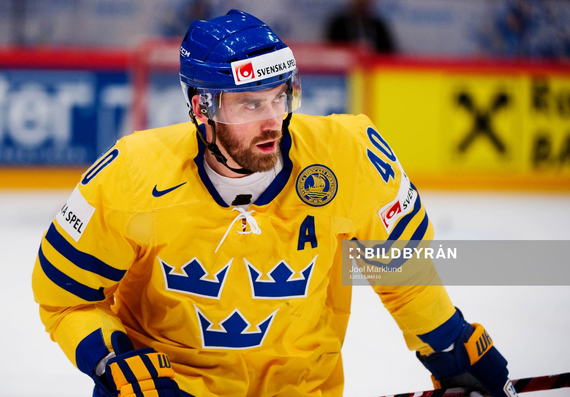 Henrik Zetterberg, Sverige