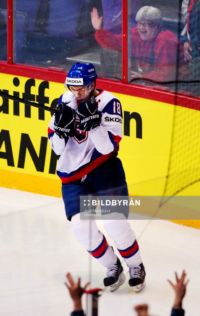 Miroslav Satan, Slovakien, jubel