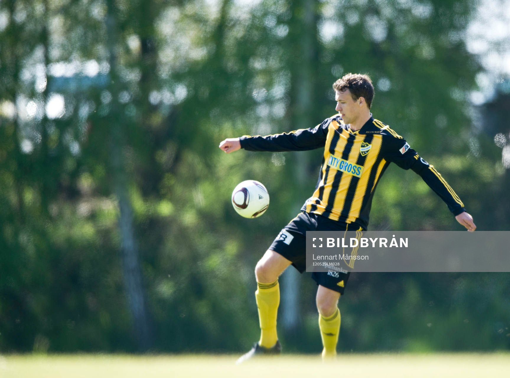 Johan Waldemarsson, Hässleholm