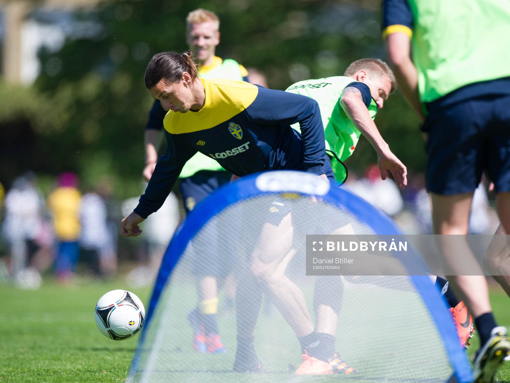 Zlatan Ibrahimovic, Sverige