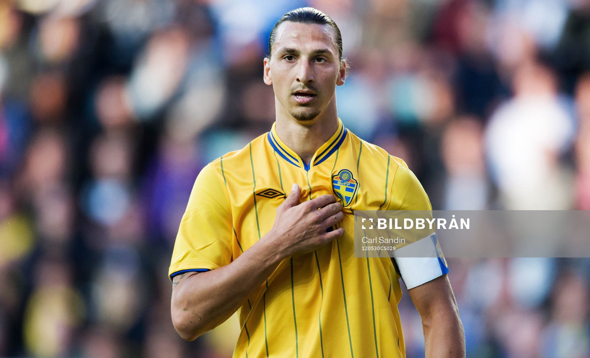 Zlatan Ibrahimovic, Sverige