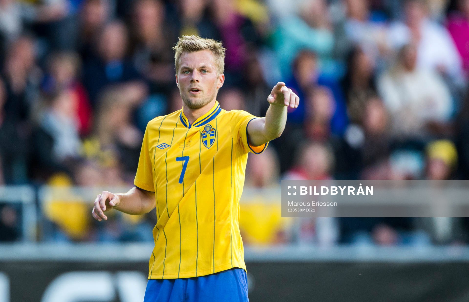 Sebastian Larsson, Sverige