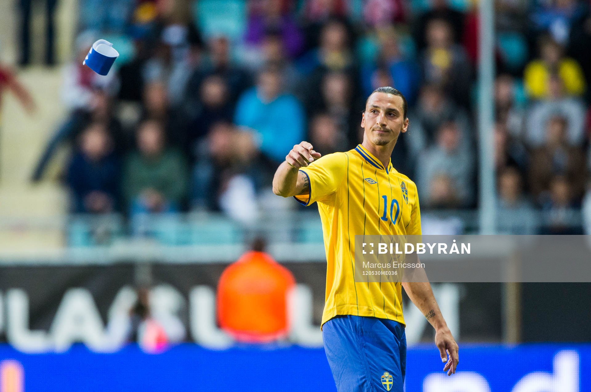 Zlatan Ibrahimovic, Sverige