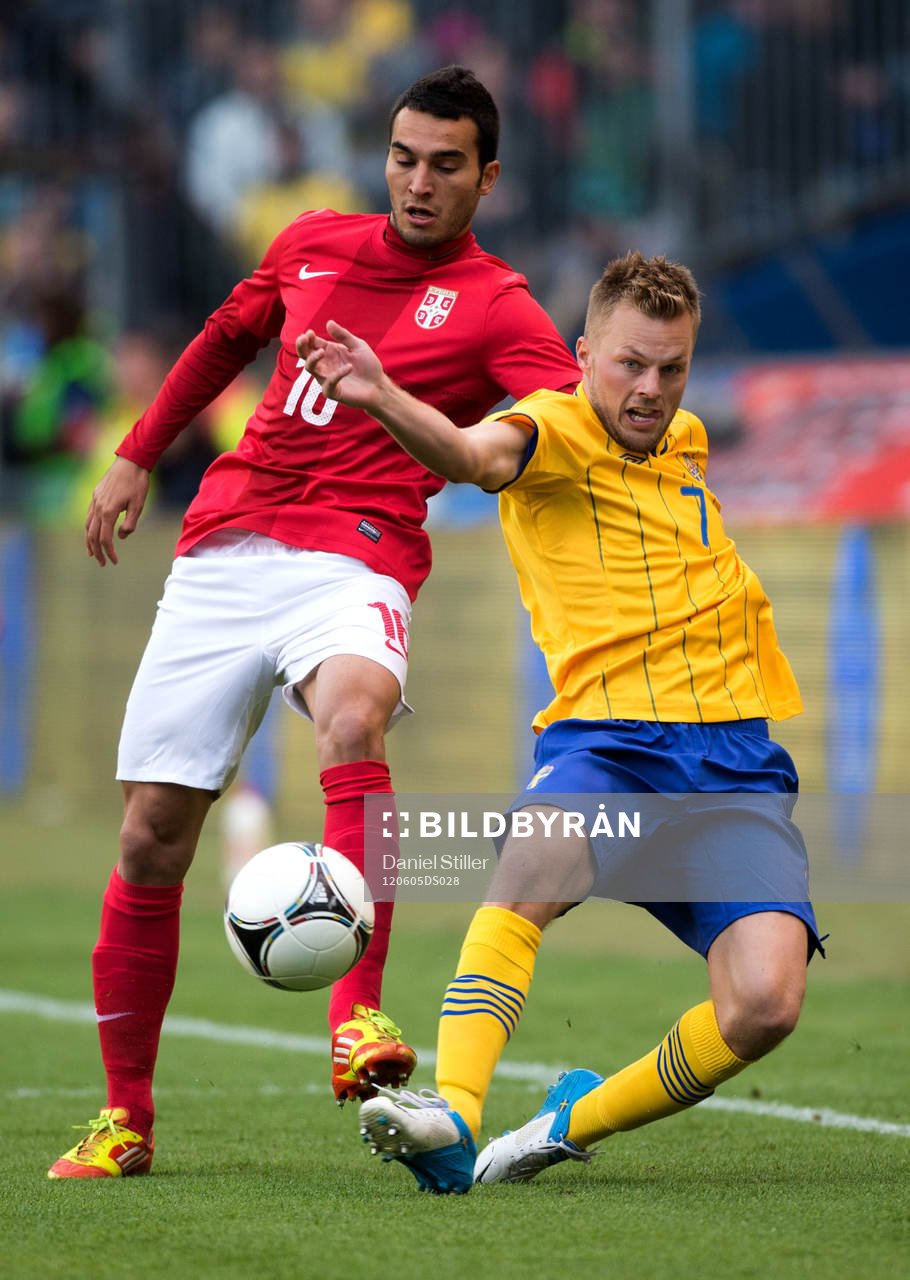 Sebastian Larsson, Sverige. Radosav PETROVIC, Serbien