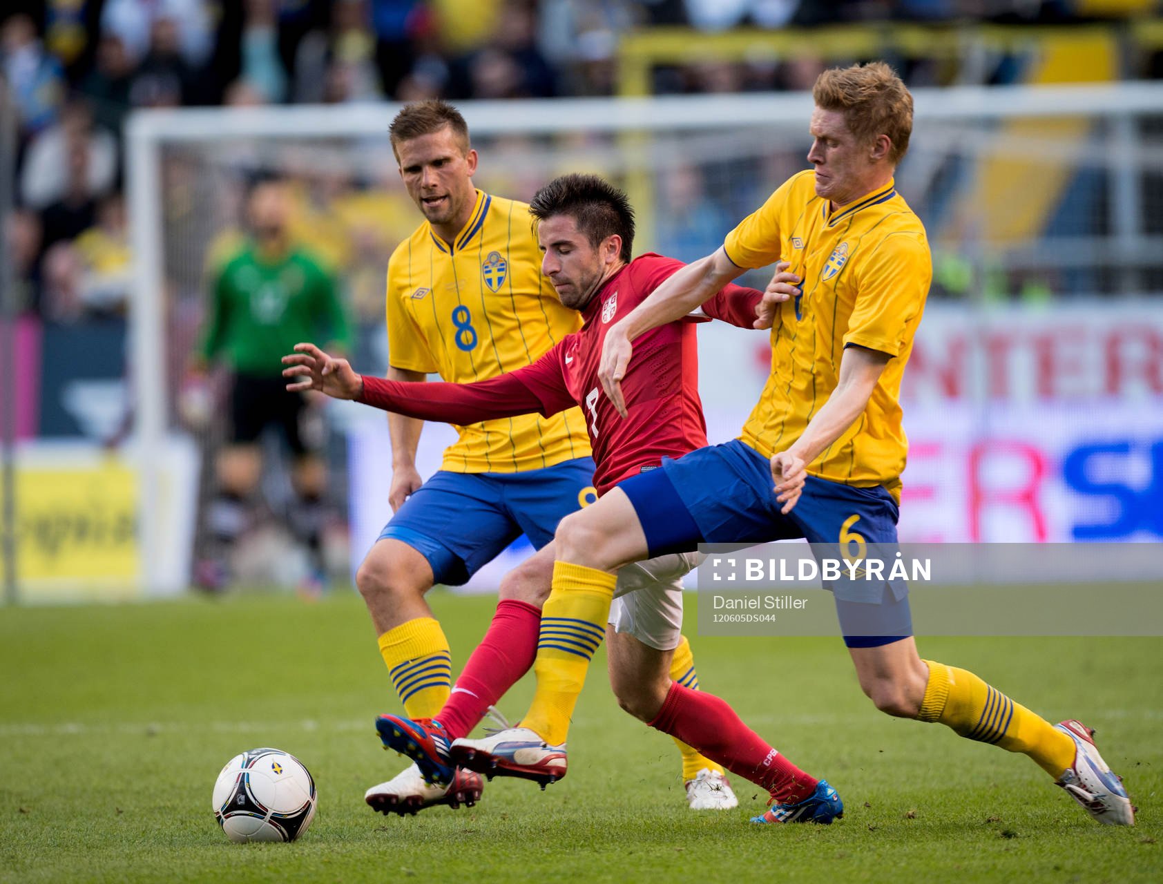 Anders Svensson, Rasmus Elm, Sverige. Zoran Tosic, Serbien