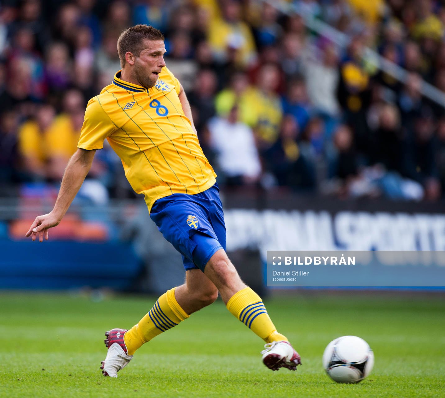 Anders Svensson, Sverige