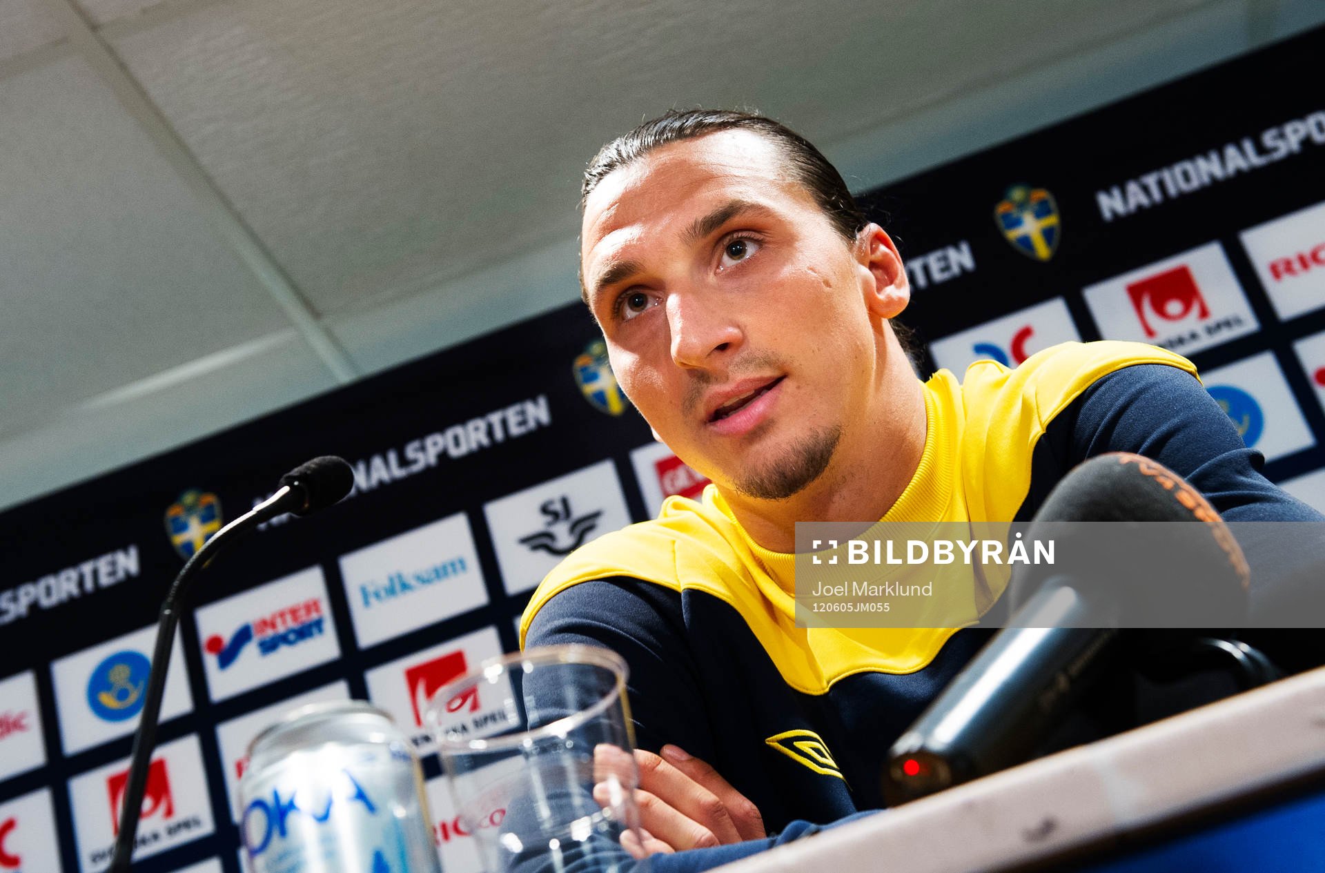 Zlatan Ibrahimovic, Sverige