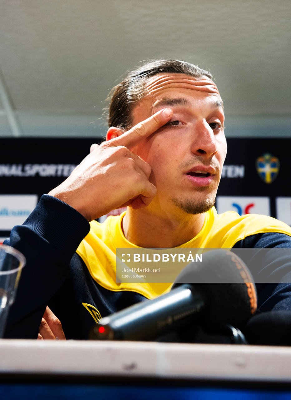 Zlatan Ibrahimovic, Sverigre